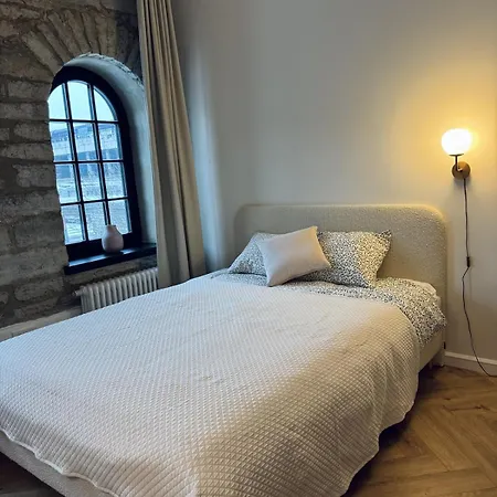 Stylish In Volta Quarter, Close To The Center! Appartamento Vihtra